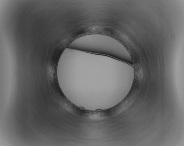 X0000111930235200908171243