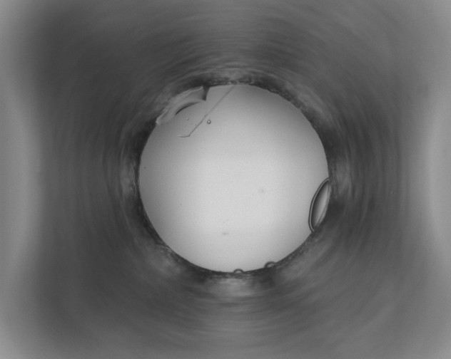 X0000111930236200908171243