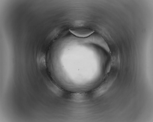 X0000111930238200908171243