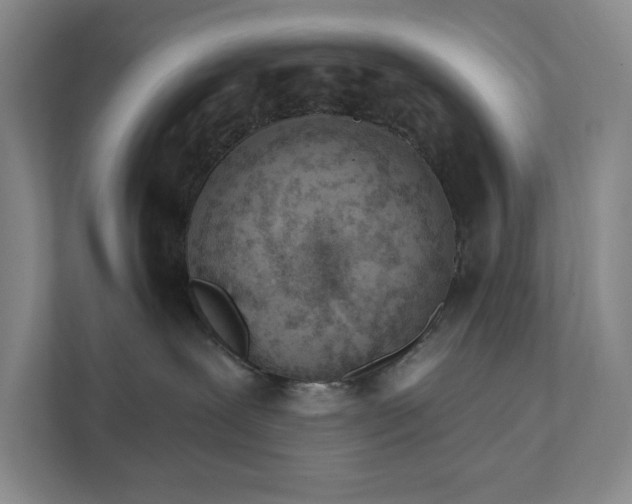 X0000111930239200908171243