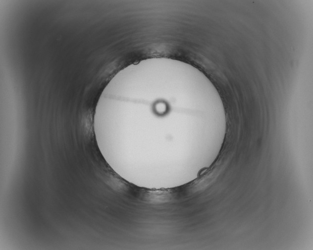 X0000111930240200908171243