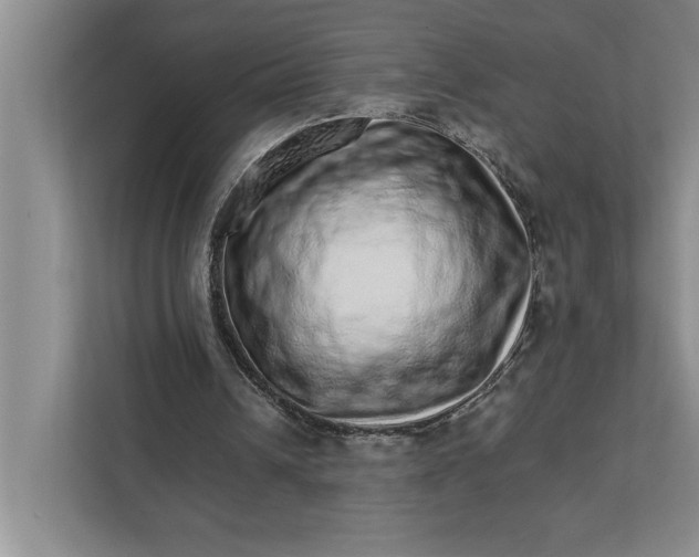 X0000111930242200908171242