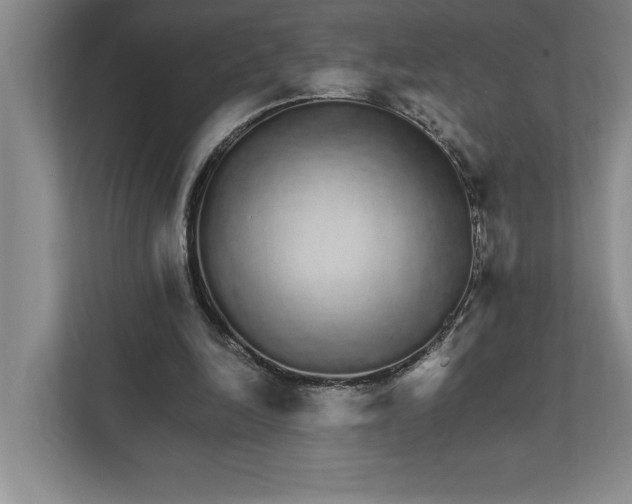 X0000111930246200908171242