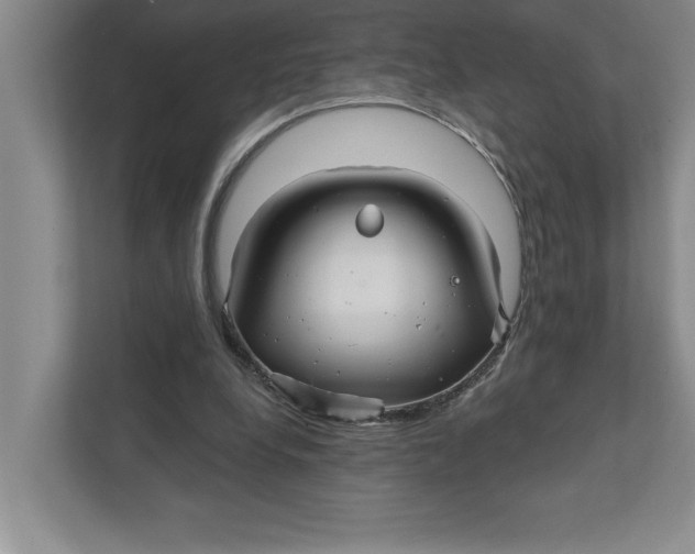 X0000111930248200908171242