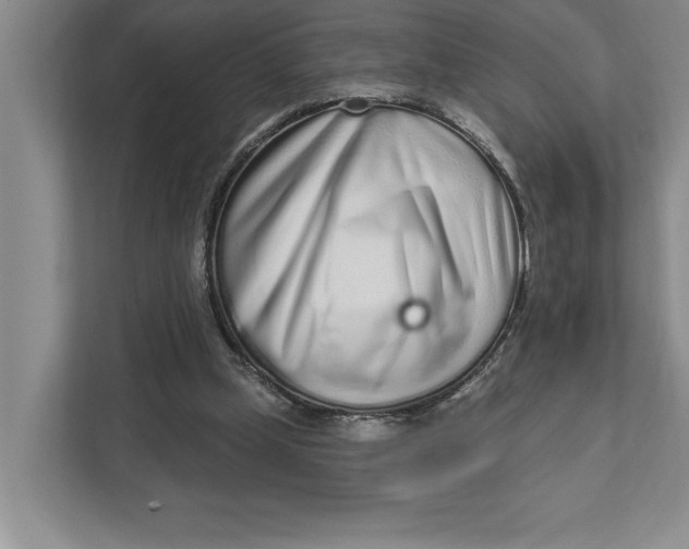 X0000111930249200908171242