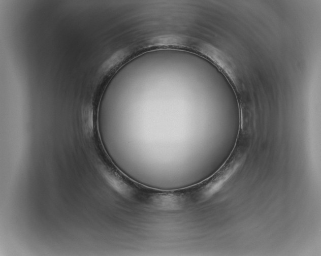 X0000111930253200908171242