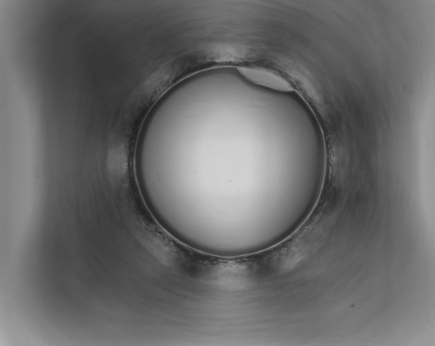 X0000111930257200908171242