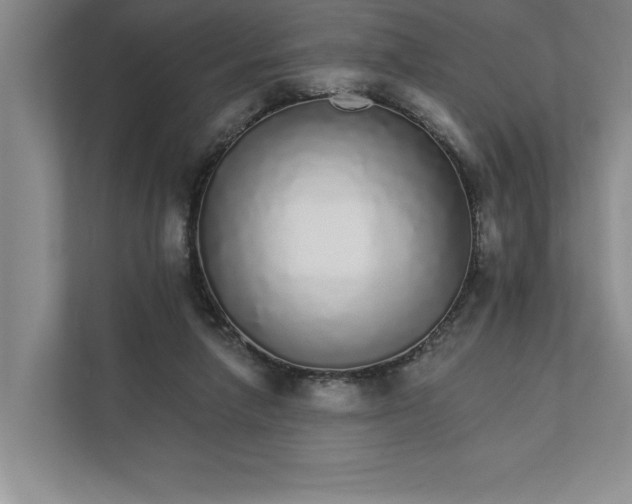 X0000111930258200908171242