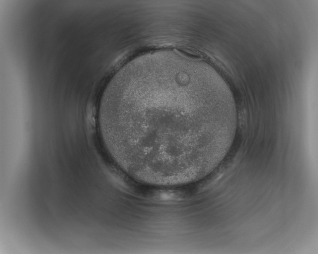 X0000111930264200908171242