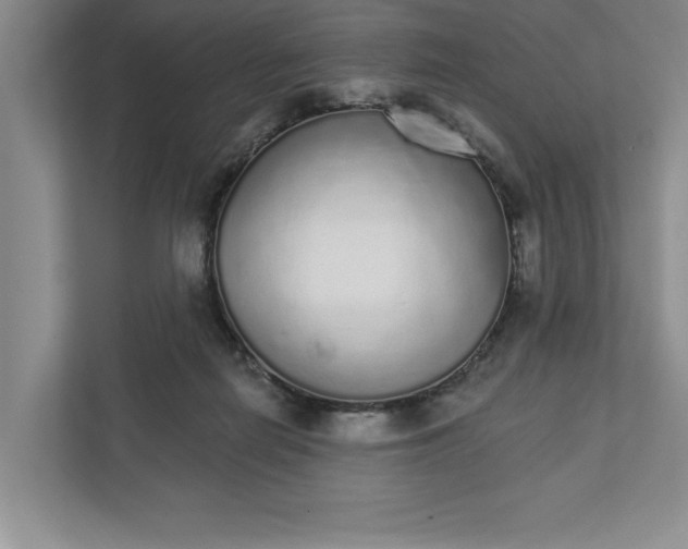 X0000111930266200908171243