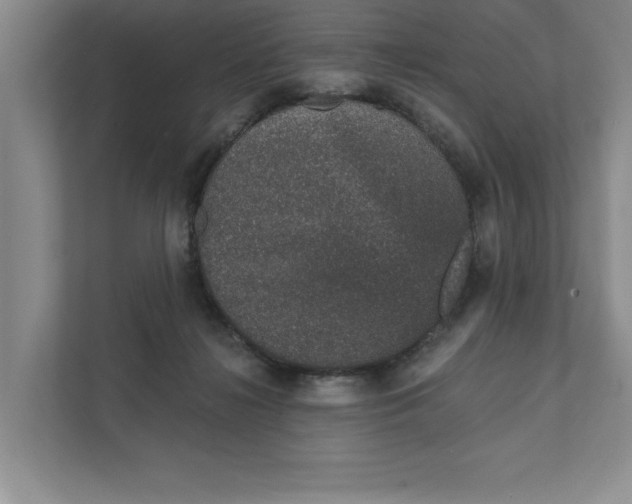 X0000111930268200908171243