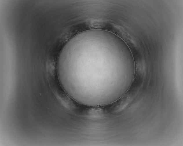 X0000111930271200908171243