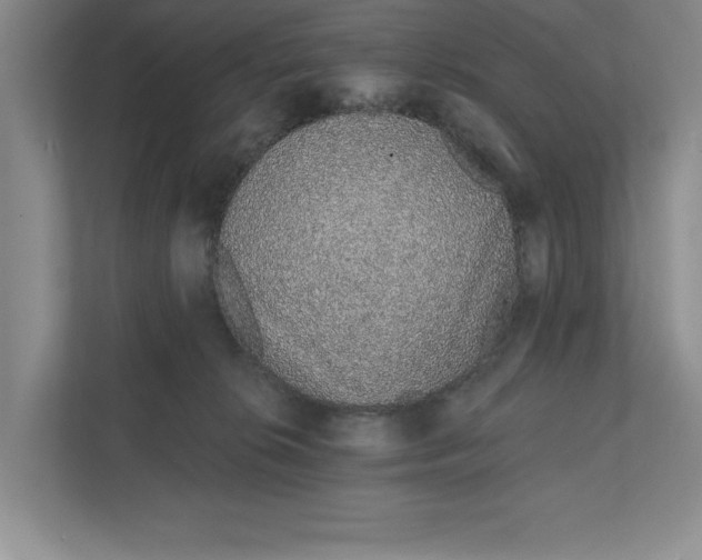 X0000111930276200908171243