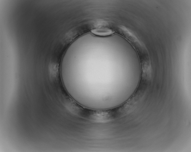 X0000111930278200908171243