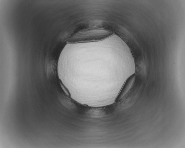 X0000111930280200908171243