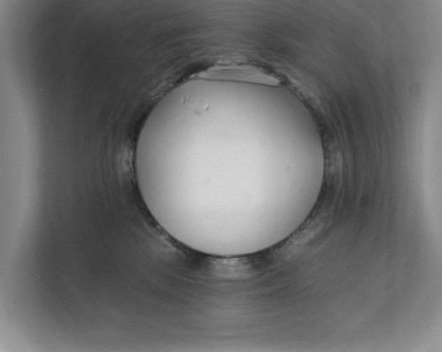 X0000111930281200908171243