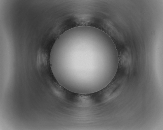 X0000111930283200908171243