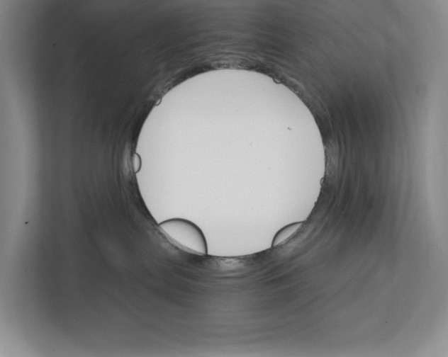 X0000111930287200908171243