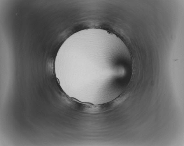 X0000111930288200908171243