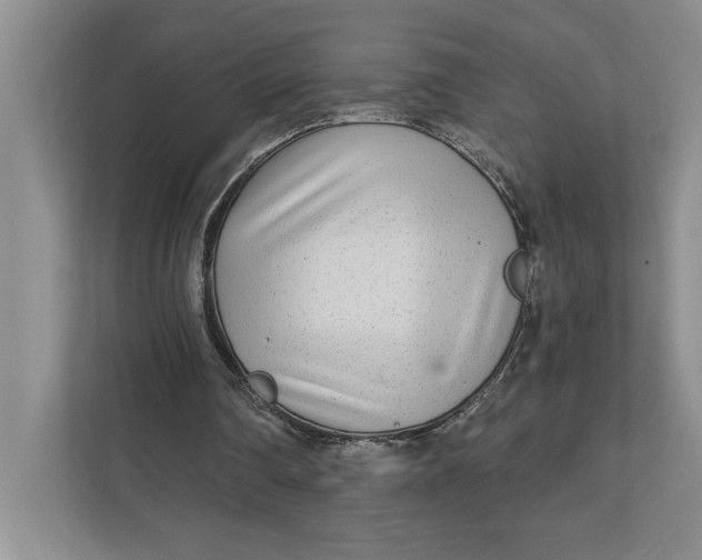 X0000111930290200908171242