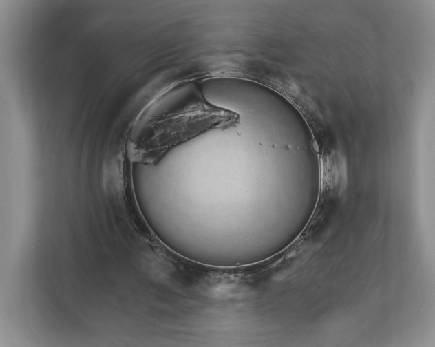 X0000111930291200908171242