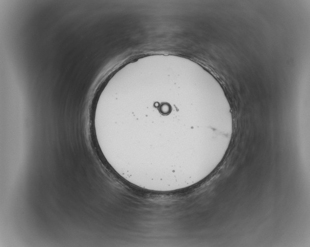 X0000111930293200908171242