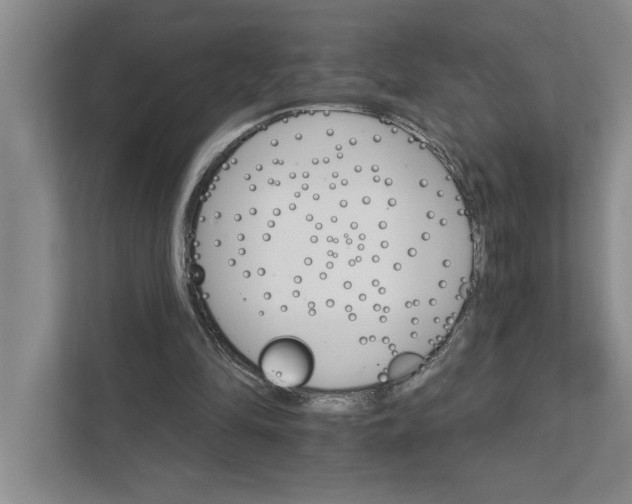 X0000111930294200908171242