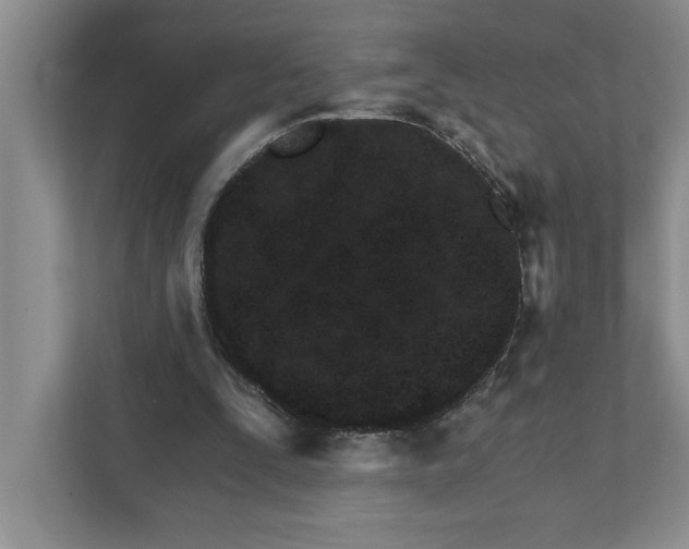 X0000111930295200908171242