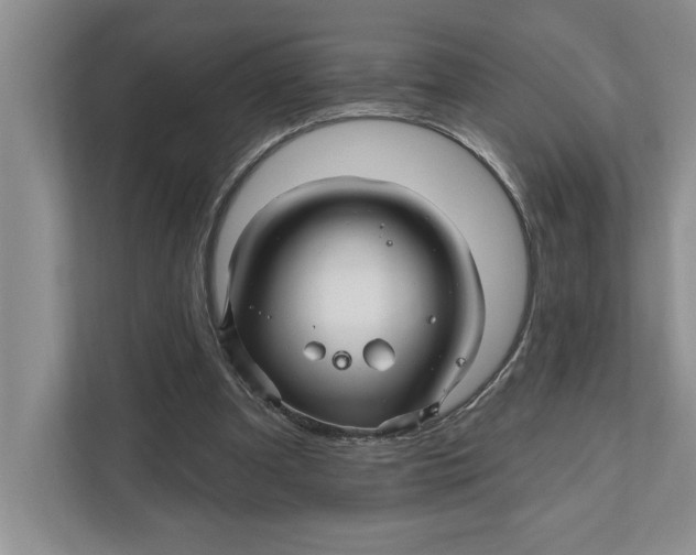 X0000111930297200908171242