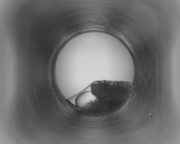 X0000111930299200908171242