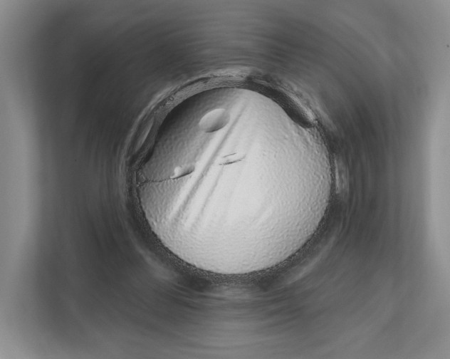 X0000111930300200908171242