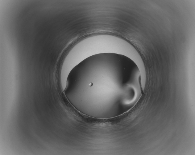 X0000111930304200908171242