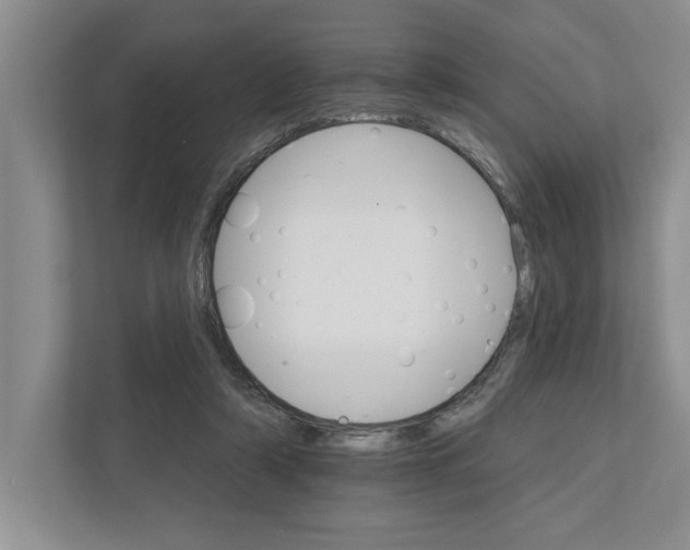 X0000111930306200908171242