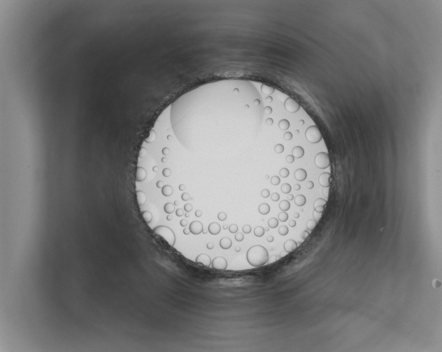 X0000111930307200908171242