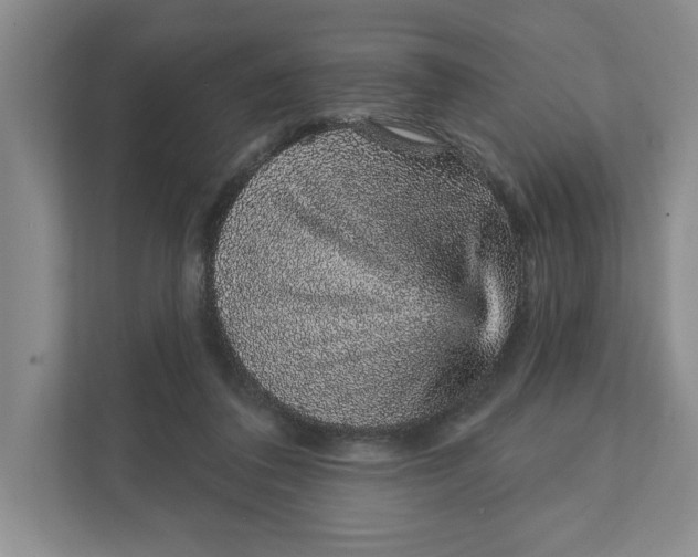 X0000111930308200908171242