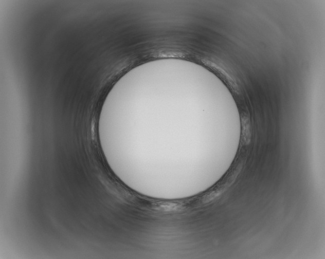 X0000111930310200908171242