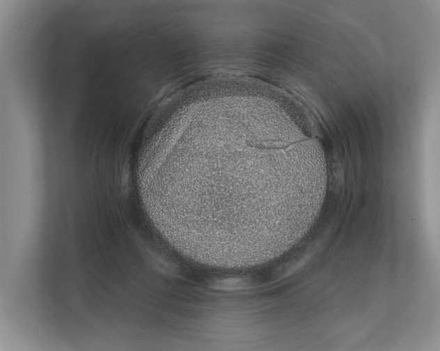 X0000111930312200908171242