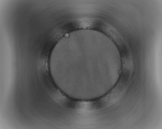 X0000111930313200908171242