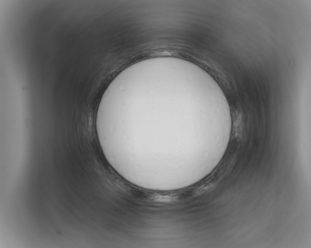 X0000111930314200908171242