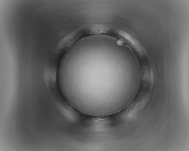 X0000111930315200908171242