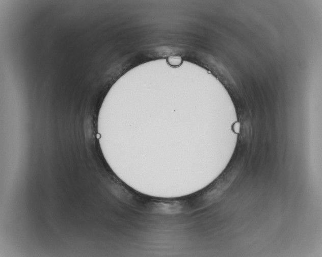 X0000111930317200908171242