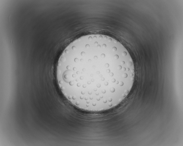 X0000111930319200908171242