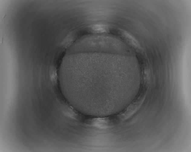 X0000111930320200908171242