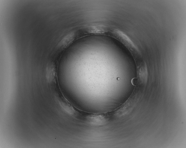 X0000111930322200908171242