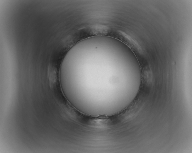 X0000111930323200908171242