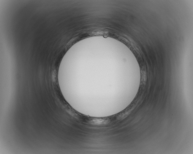 X0000111930326200908171242