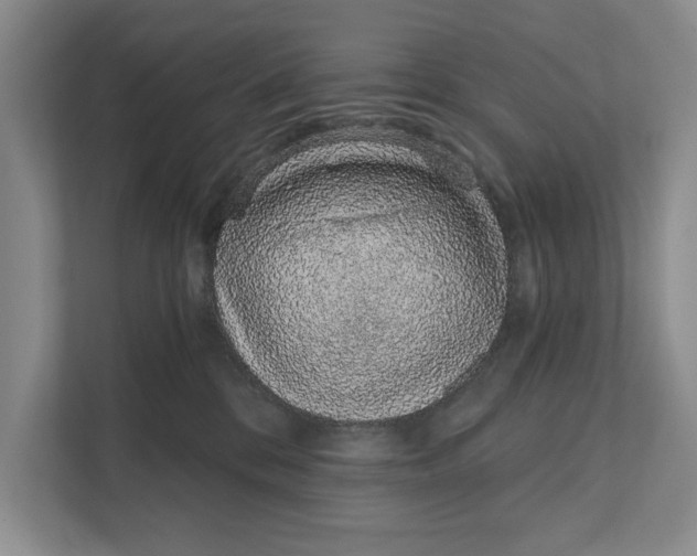 X0000111930328200908171242