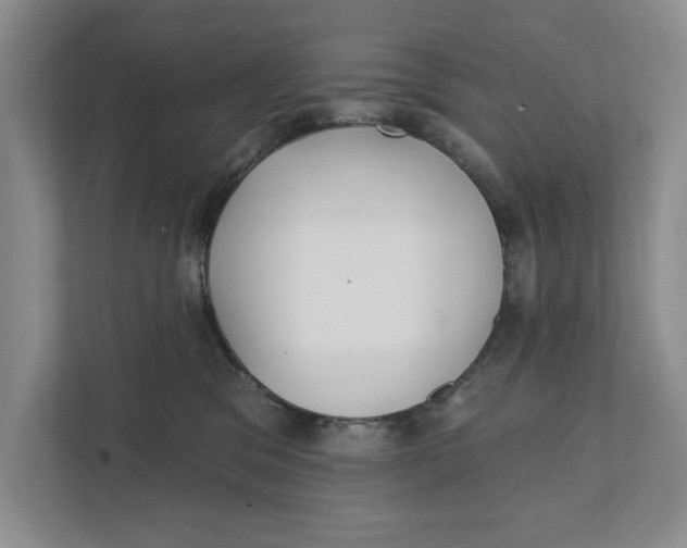 X0000111930329200908171242