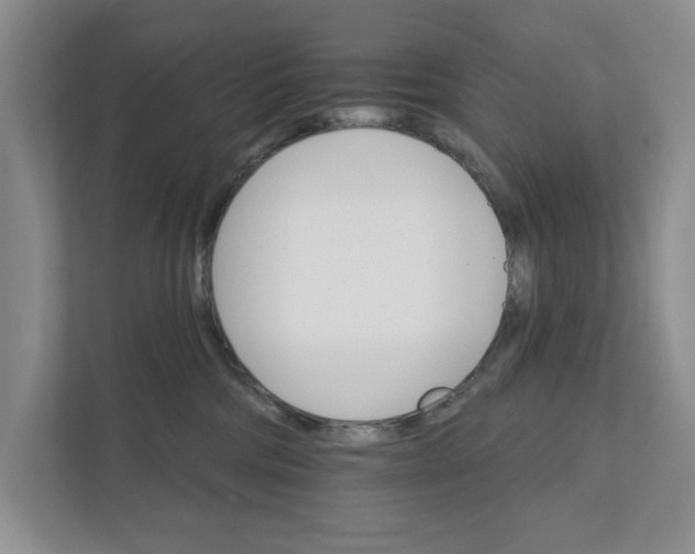 X0000111930330200908171242