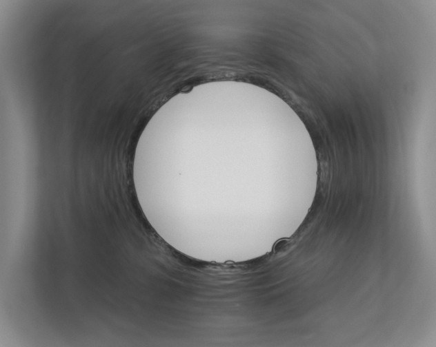 X0000111930331200908171242